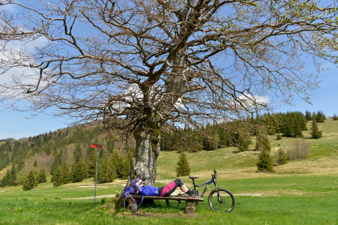 Holiday Home Davca Cerkno Exteriör bild