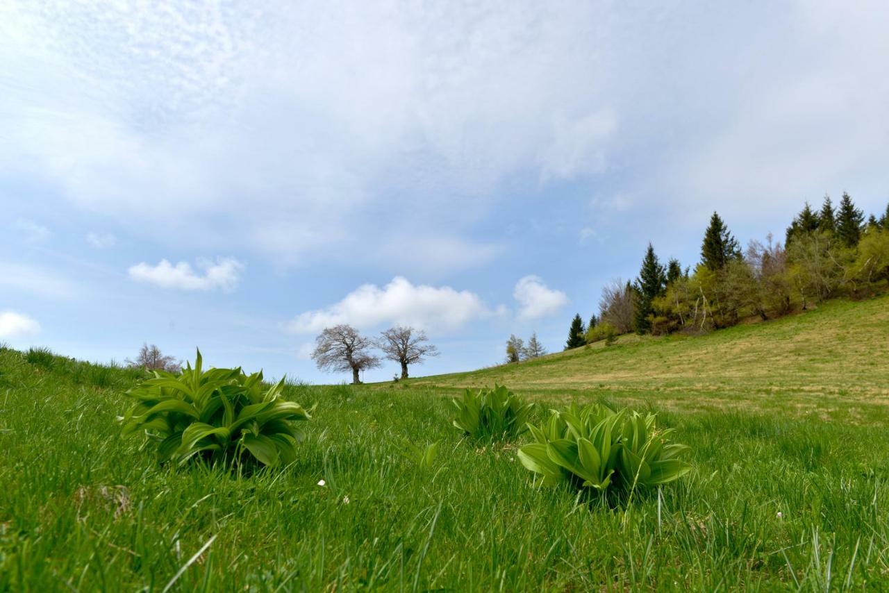 Holiday Home Davca Cerkno Exteriör bild